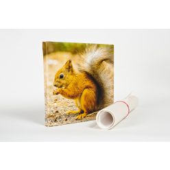 Vászonkép 20x20cm,saját fotóval.