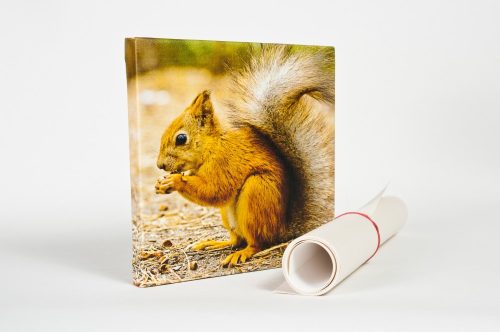 Vászonkép 20x20cm,saját fotóval.