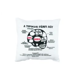 Díszpárna Tipikus férfi agy