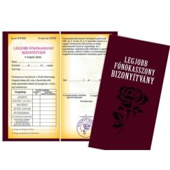 Legjobb főnökasszony