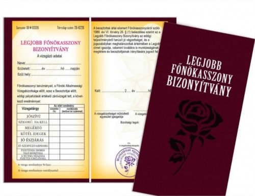 Legjobb főnökasszony