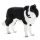 Mojo Border Collie figura