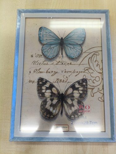 Képkeret egyedi képpel A4 világos kék, fehér