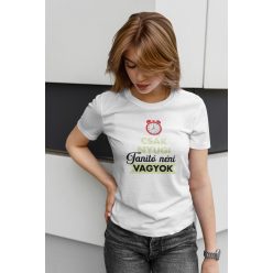 Csak nyugi tanító néni vagyok fehér póló