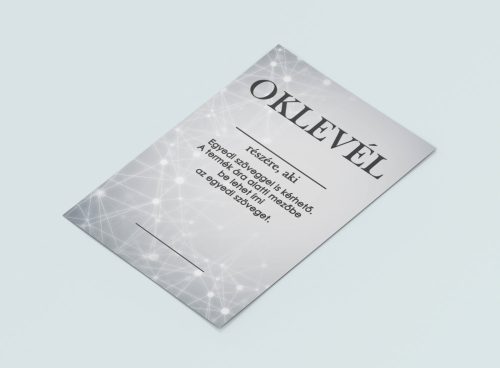 Informatikus oklevél